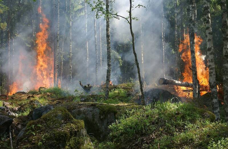 Immagine: Piano locale di prevenzione antincendio boschivo della Comunità Montana di Valle Trompia edizione 2024