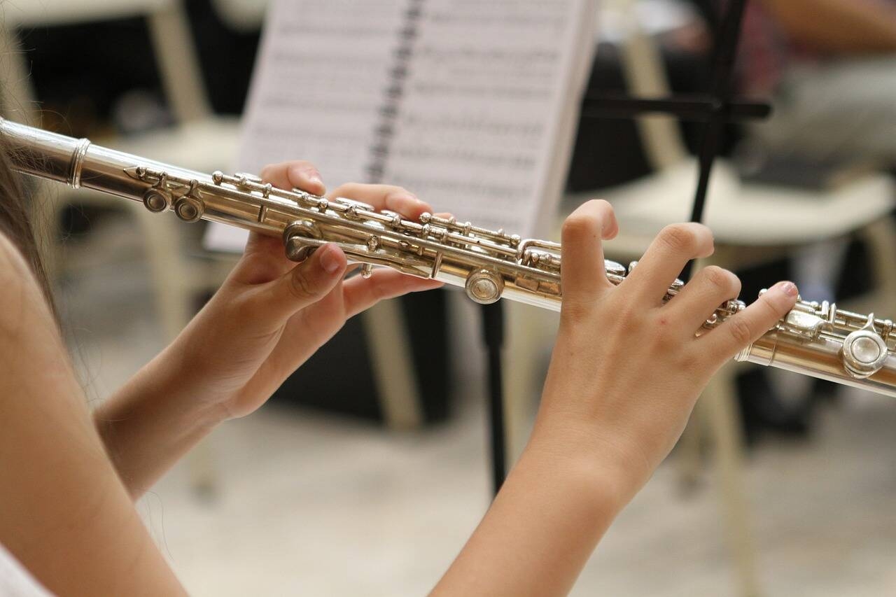 Immagine: Concerto