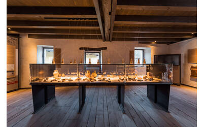 Immagine: Interno Museo ORMA