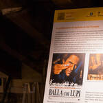 Immagine: Interno Museo