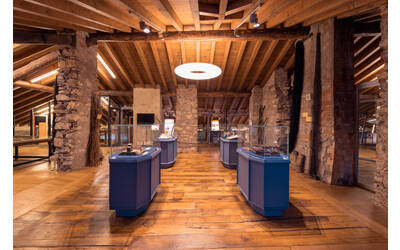 Immagine: Interno Museo