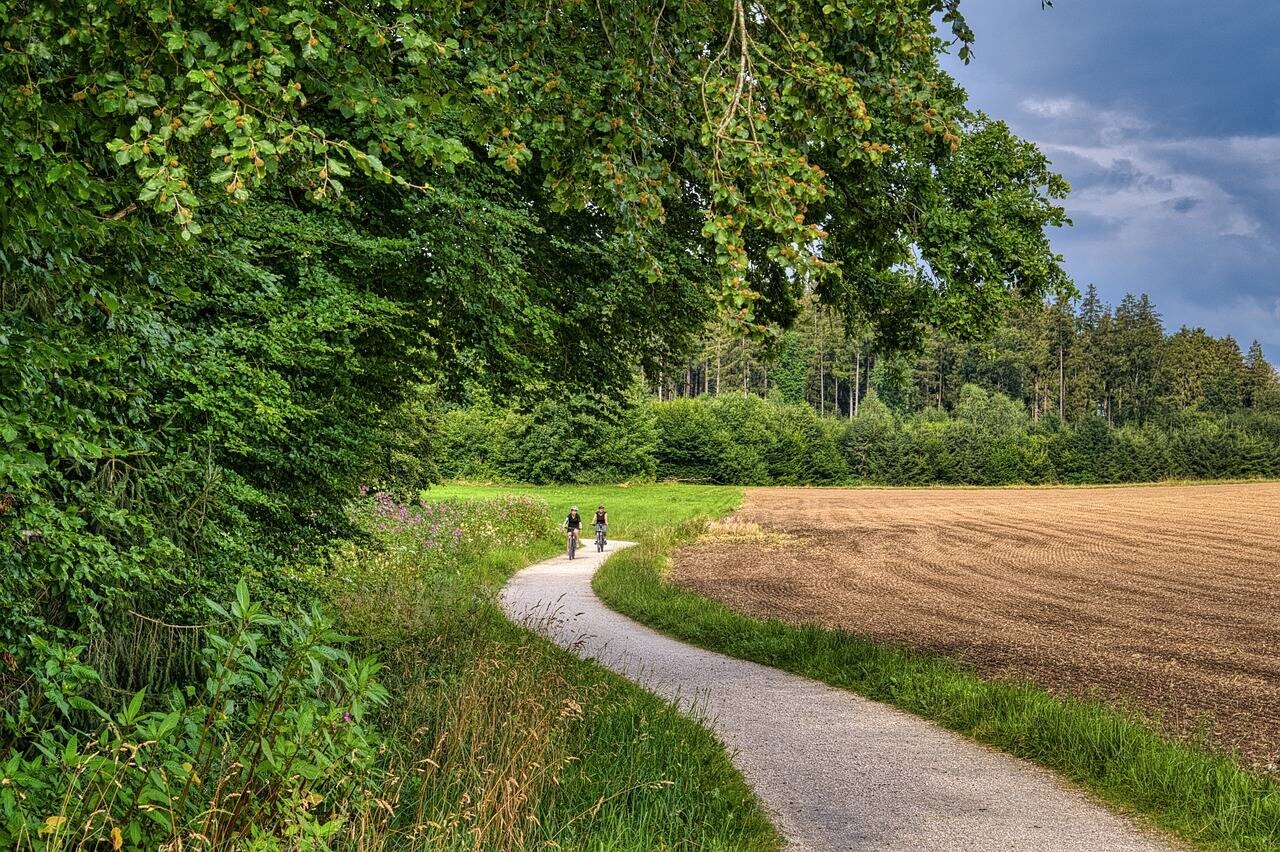 Immagine: Pista-ciclabile
