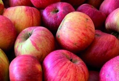 Immagine: Volantino_sagra_mele_Brione_2025 - Copia