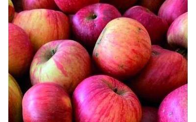 Immagine: Volantino_sagra_mele_Brione_2025 - Copia